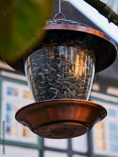 Fotografie Close-up of a bird feeder filled with sunflower seeds