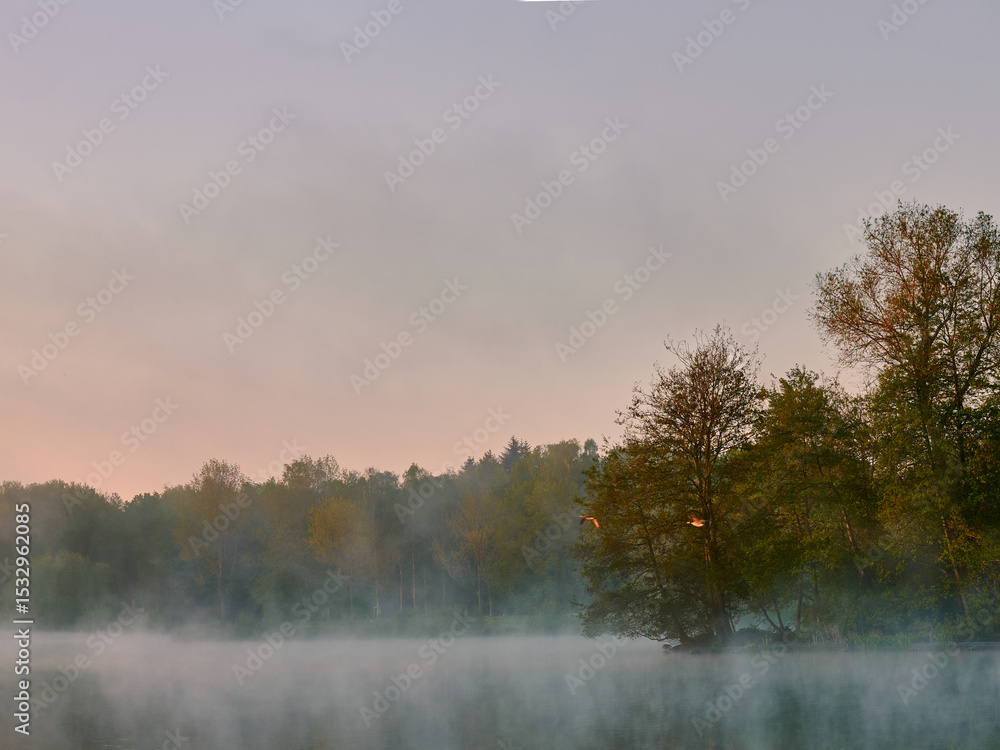 Fototapeta premium Closeup shot of a lake surrounded by trees under a sunset sky