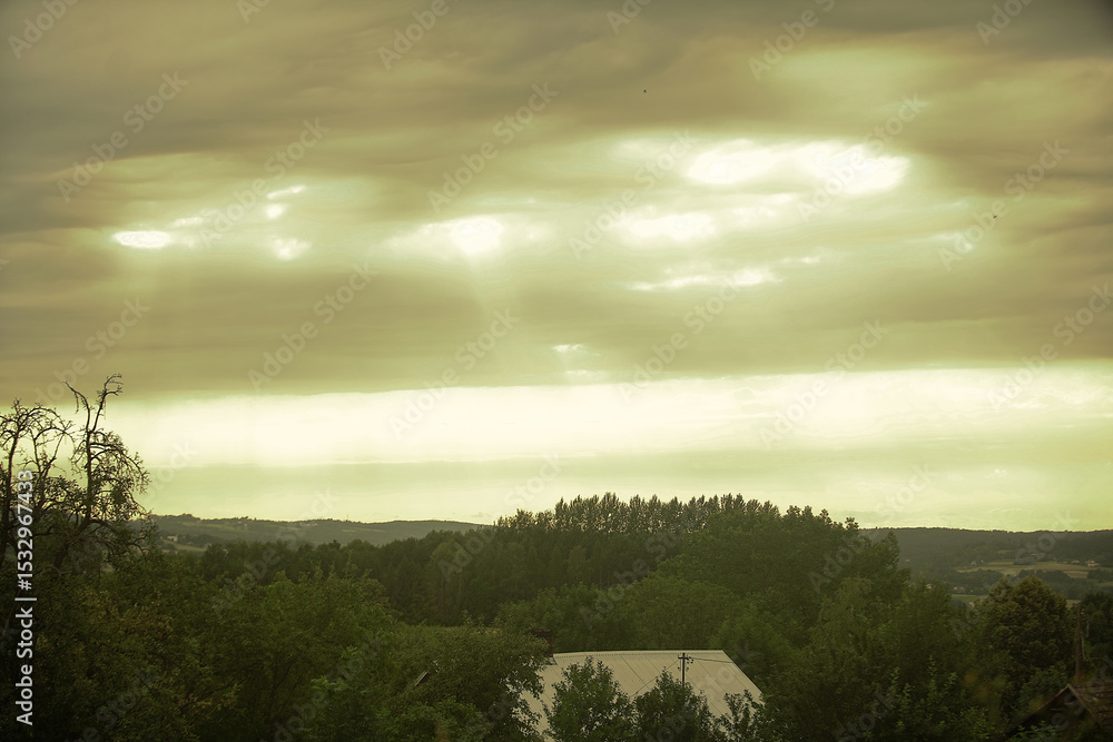 Fototapeta premium morning in the forest