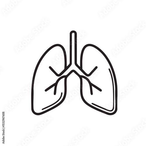Educational illustration of detailed human lung bronchi vector illustration