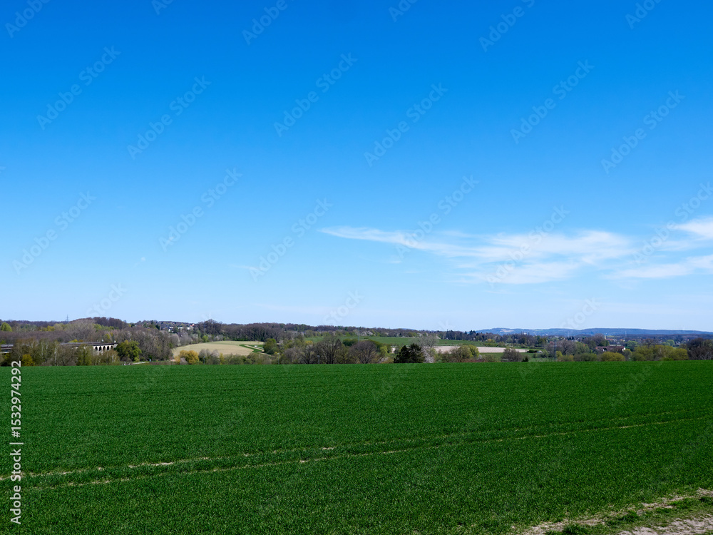 Naklejka premium Green grass field under blue sky