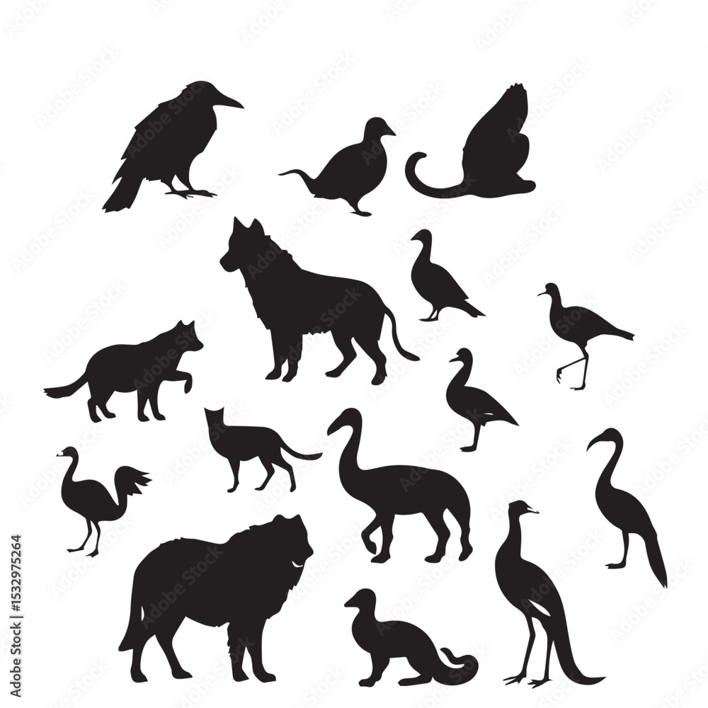 Obraz premium Silhouette collection of various animals and birds