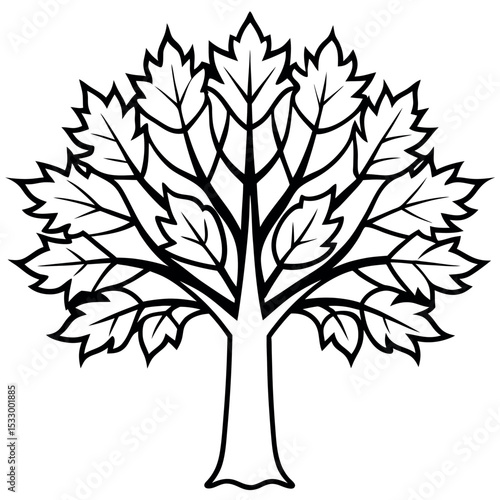 Black and White Line Art Sycamore Tree Illustration