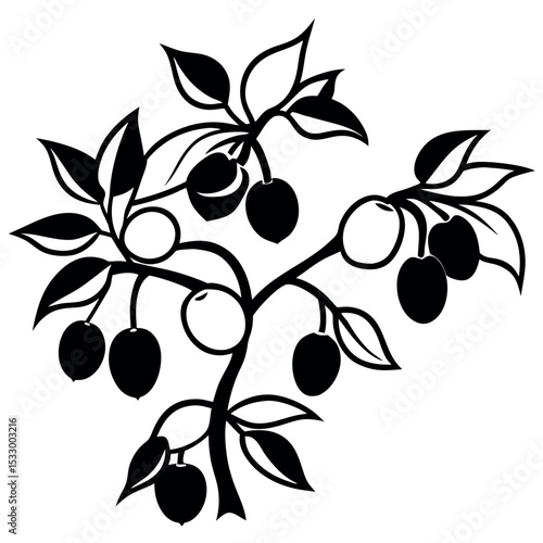Black and White Plum Tree Branch Close Up with Fruit