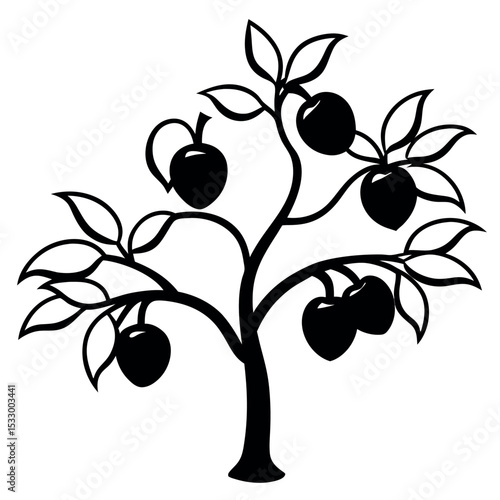 Black and White Plum Tree Close Up Branch Fruit Silhouette