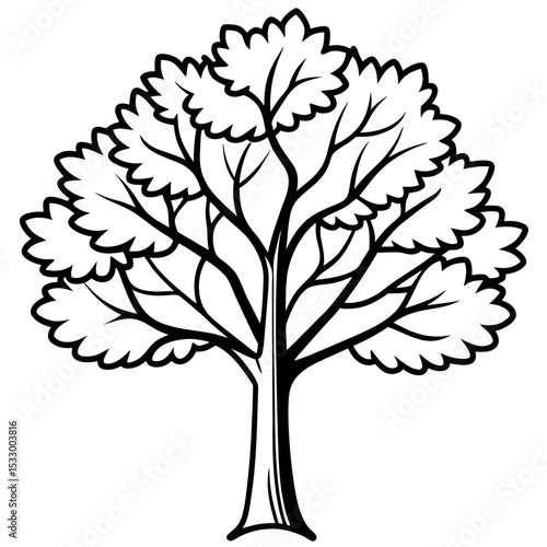 Black and White Simplified Sycamore Tree Vector Illustration 1