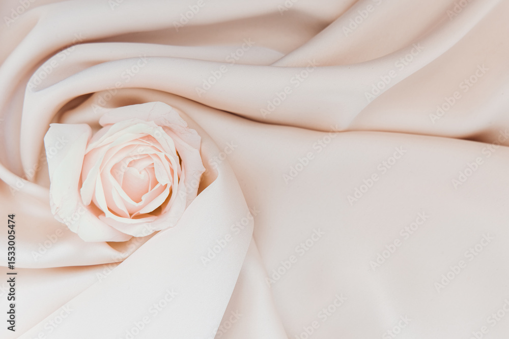 Obraz premium Delicate pink rose resting on soft cream fabric during a serene indoor setting