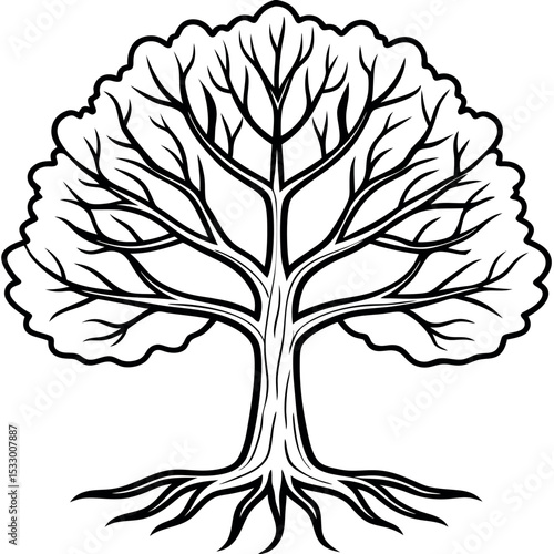 Black Line Art Sycamore Tree Detailed Veins Roots black and white