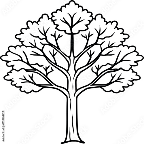 Simplified Black and White Vector Sycamore Tree Illustration