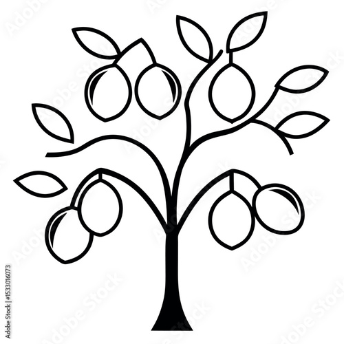 Black and White Line Art Plum Tree Oval Leaves Round Fruits