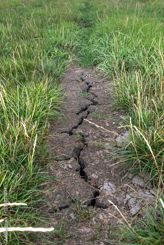 Crack in the field