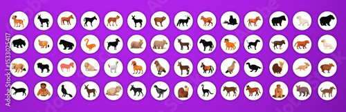 A large grid of various animals.  Each animal is presented in a full shot, facing forward or slightly angled.  The animals include: buffalo, cow, ox, dog, cat, sheep, goat, snake, mouse, squirrel, fro