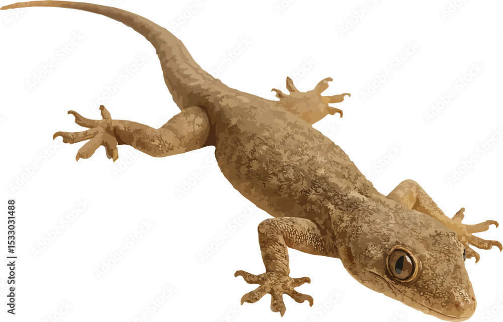 Naklejka premium house lizard,