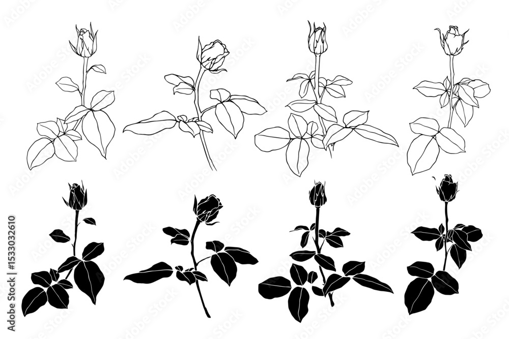 Fototapeta premium Sketch collection, silhouettes of rose flowers. Simple botanical elements. Vector graphics.