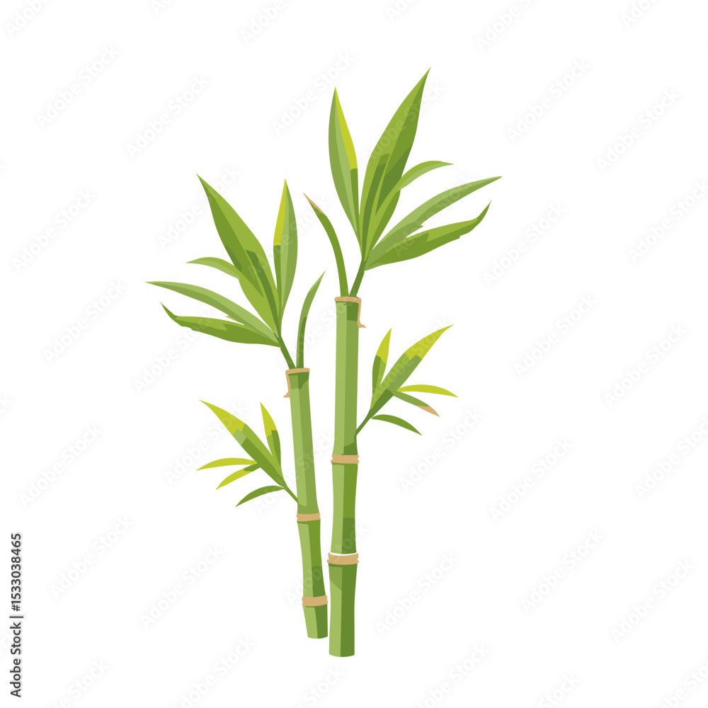 Obraz premium Outline of bamboo stalks with green leaves on white background, minimalistic design.