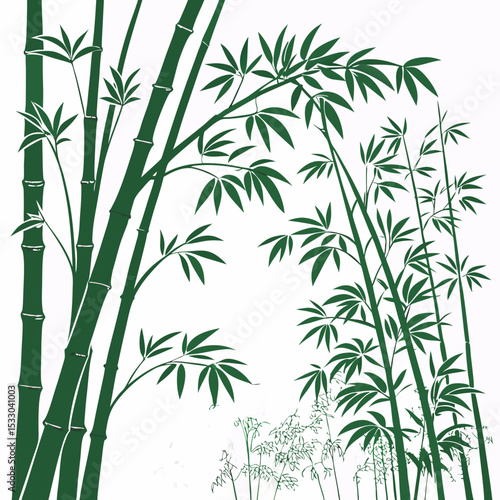 bamboo vector illustration