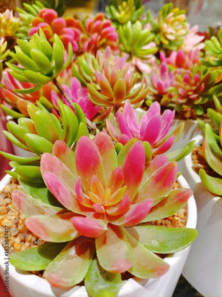 Fototapeta premium Closeup on beautiful flower bouquet