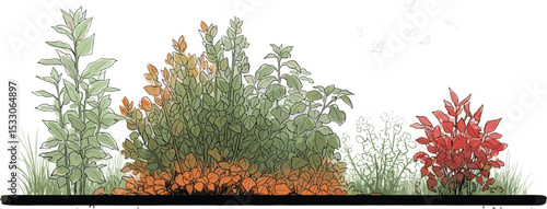 Architectural Drawings, Minimal style cad tree line drawing, Side view, set of section garden, wetland forest outline for landscape design drawing. Vector illustration in separate element 