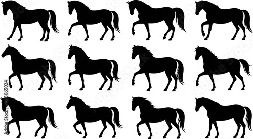 Twelve black horse silhouettes in various poses arranged in a rectangular grid formation on white