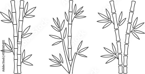 Three bamboo stalks with leaves in a black and white illustration style on a white background