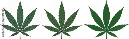 Marijuana Leaf – Medical Cannabis Plant Icon Illustration

