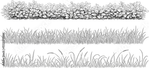 set of forest line cad, minimal isolated on white background. Ground cover. Illustration for elevation architectural element, side view, grass section. Turf coating banners for edging.