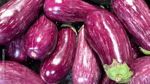 Wallpaper Mural Ripe dark eggplants in a cardboard box for sale in an elite supermarket. Healthy eating. Close-up. Torontodigital.ca
