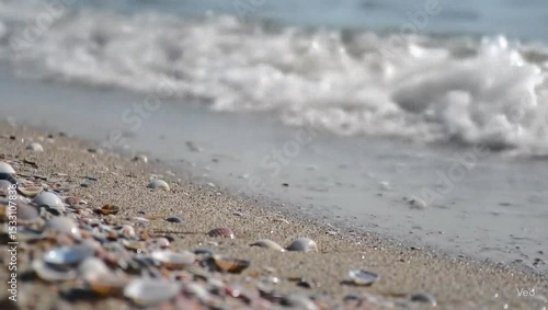 Gentle waves roll in and recede, leaving behind scattered seashells on a sandy beach.
