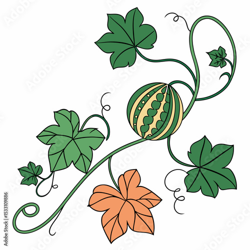 Illustration of a decorative melon's vines and leaves in a vibrant design