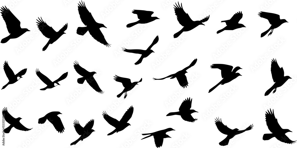 Birds icon vector set. fly illustration sign collection. nature symbol.
Birds icon vector set. fly illustration sign collection. nature symbol.