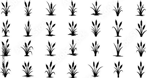 Cattail icon vector set. reeds illustration sign collection. swamp symbol. grass logo.
