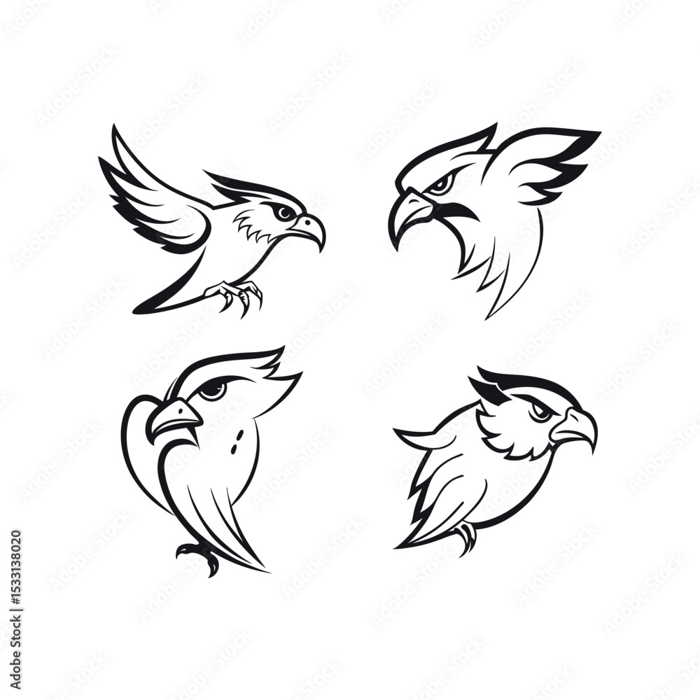 Obraz premium Angry hawk and eagle bird designs