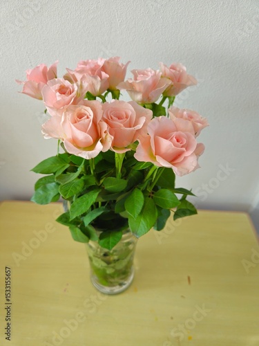 Wallpaper Mural Pink rose inside a jar. Beautiful roses, isolated on white.  Torontodigital.ca