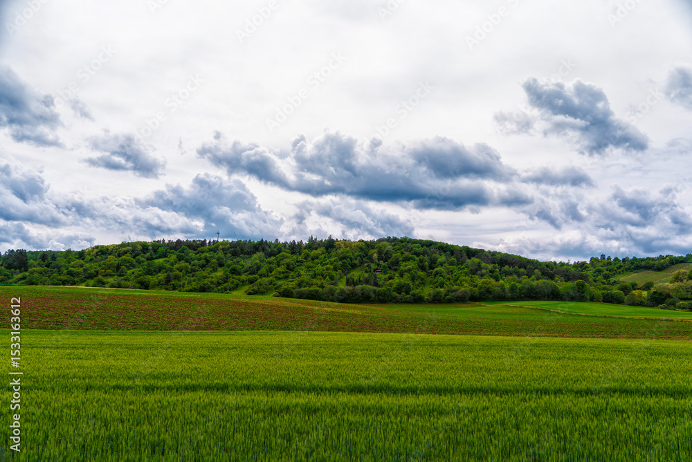Fototapeta premium Field, hill, wheat, clouds