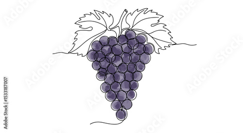 Vigne de raisin – dessin doodle en une ligne avec remplissage aquarelle, illustration vectorielle minimaliste sur fond blanc