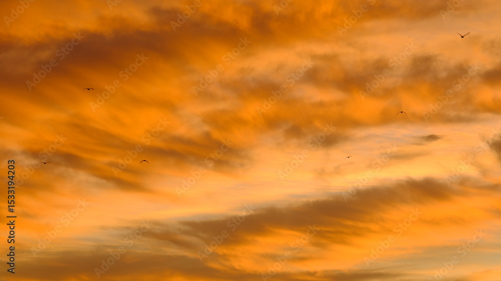 Obraz premium sunset in the sky, Canada, Alberta
