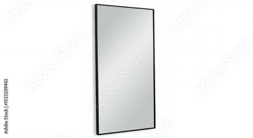 Black framed full length mirror