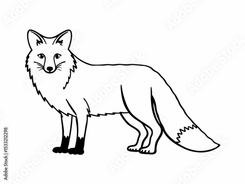 Charming Fox Illustration Line Art Drawing of a Red Fox