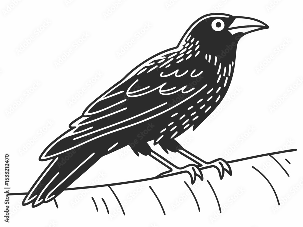 Fototapeta premium Majestic Black Crow Illustration A Detailed Line Art Drawing