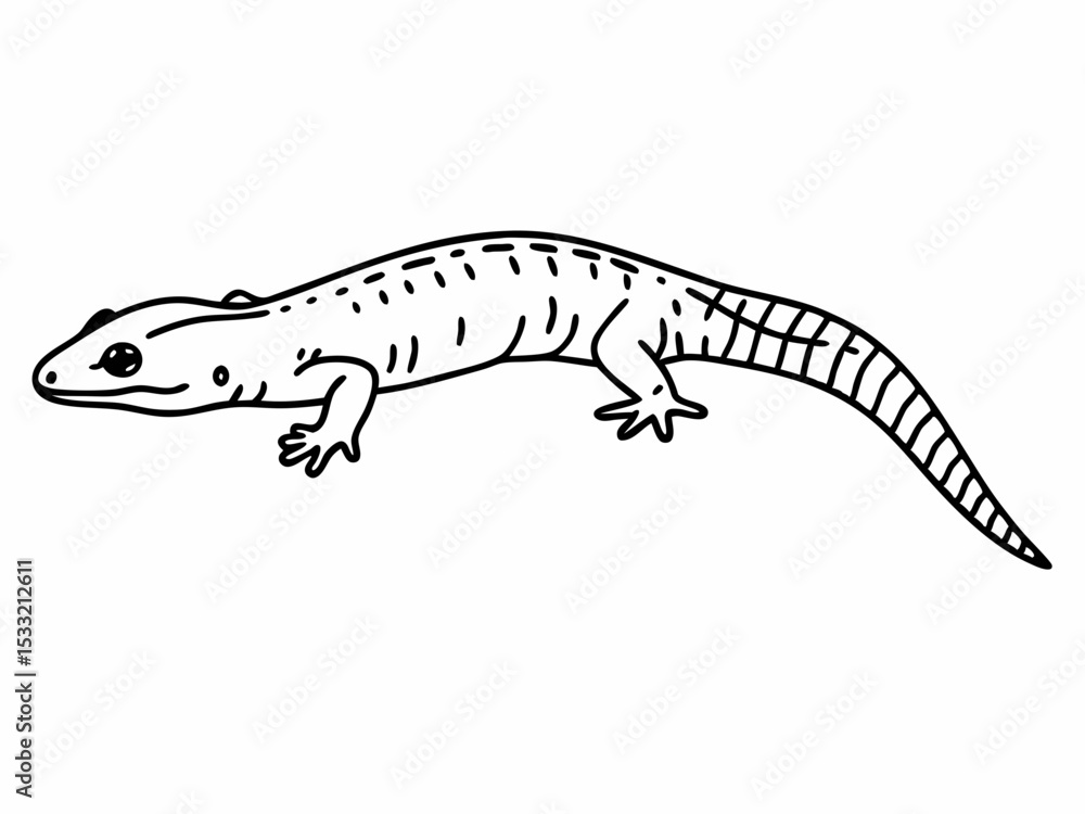 Naklejka premium Line Art Drawing of a Lizard Detailed Illustration of Reptile Anatomy