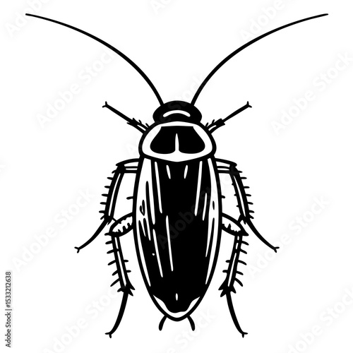Detailed Line Art Illustration of a Cockroach