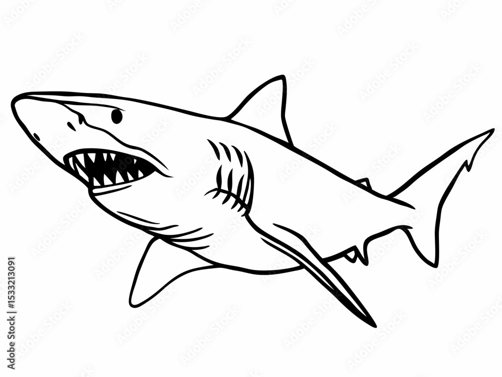 Fototapeta premium Powerful Great White Shark Line Art Illustration