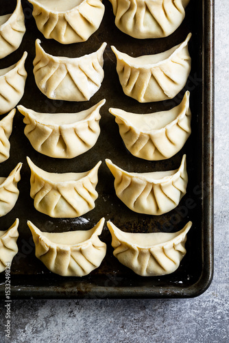 An overhead view of uncooked dumplings neatly arranged on a baking tray.