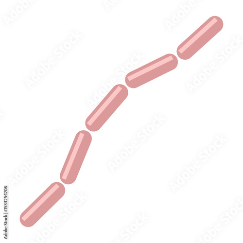 Bacteria forming a chain under microscope view showcasing rod-shaped organisms in a biological study environment