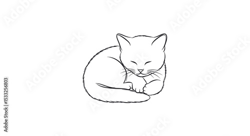Cozy Sleeping Cat Curled Up Peacefully with Eyes Closed in a Simple Serene Setting