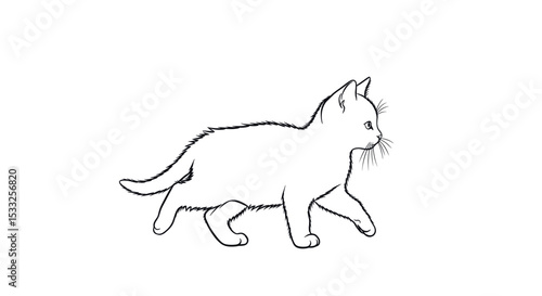 Cute White Cat Walking Gracefully with Curious Expression in a Playful Manner