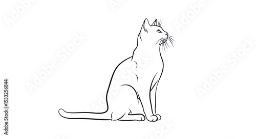 Simple Outline Illustration of a Sitting Cat in Alert Pose with Curiosity