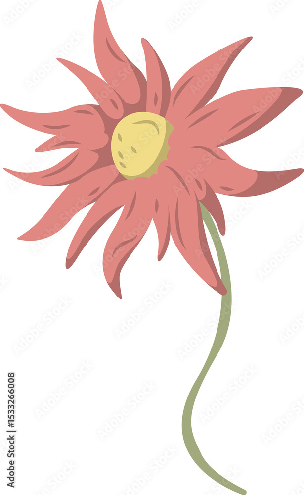 Obraz premium Flat floral design is showing on transparent bg with coral-pink petals, yellow center, green stem