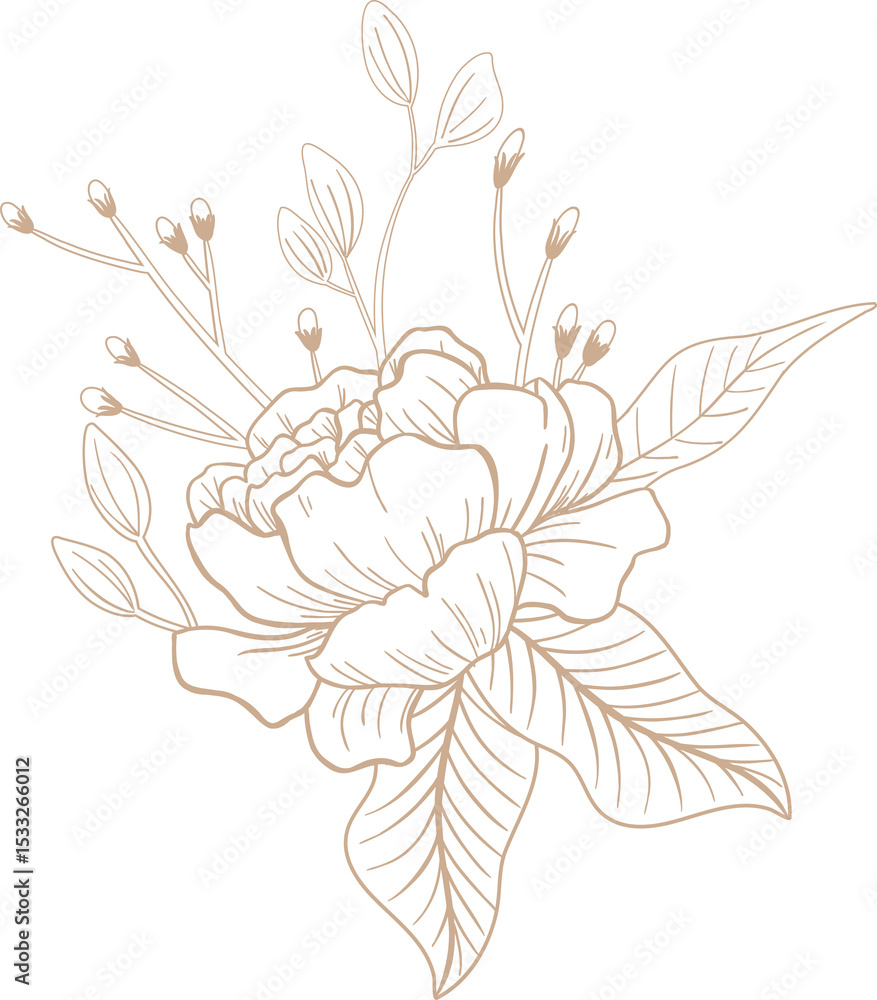 Fototapeta premium Line art is showing blooming flower with stem buds and veined leaves transparent background