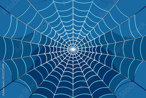 spider and web